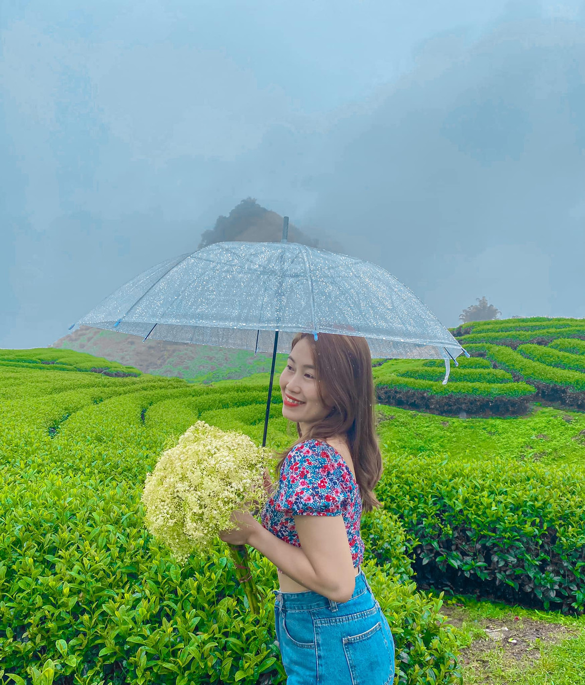 Những luống chè xanh được tạo hình sinh động, lãng mạn đã trở thành điểm check in được du khách yêu thích. Ảnh: Oanh July