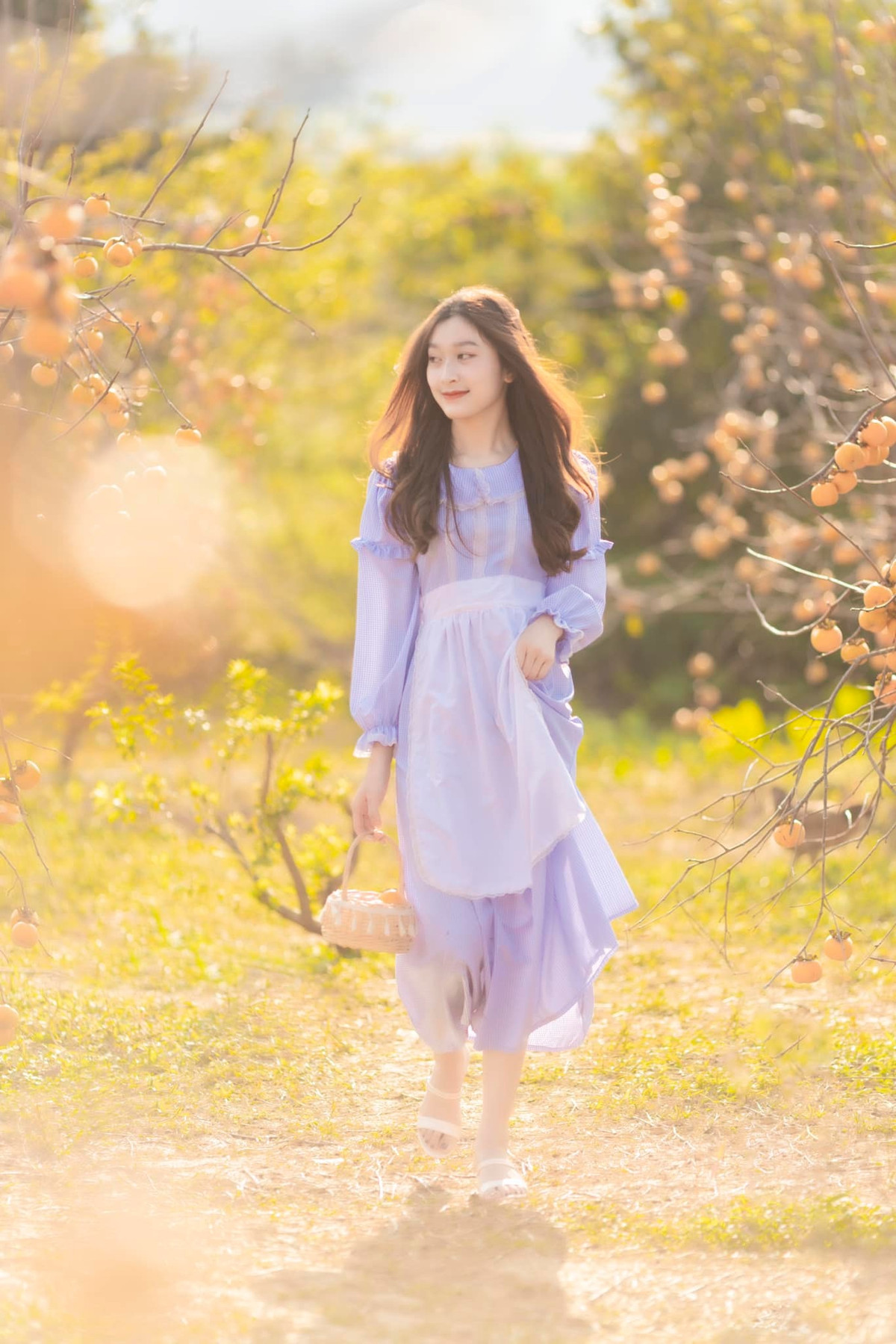 Đến những vườn hồng ở Mộc Châu các cô gái thoả sức chụp ảnh sống ảo quên lối về. Ảnh: Ngựa Hoang