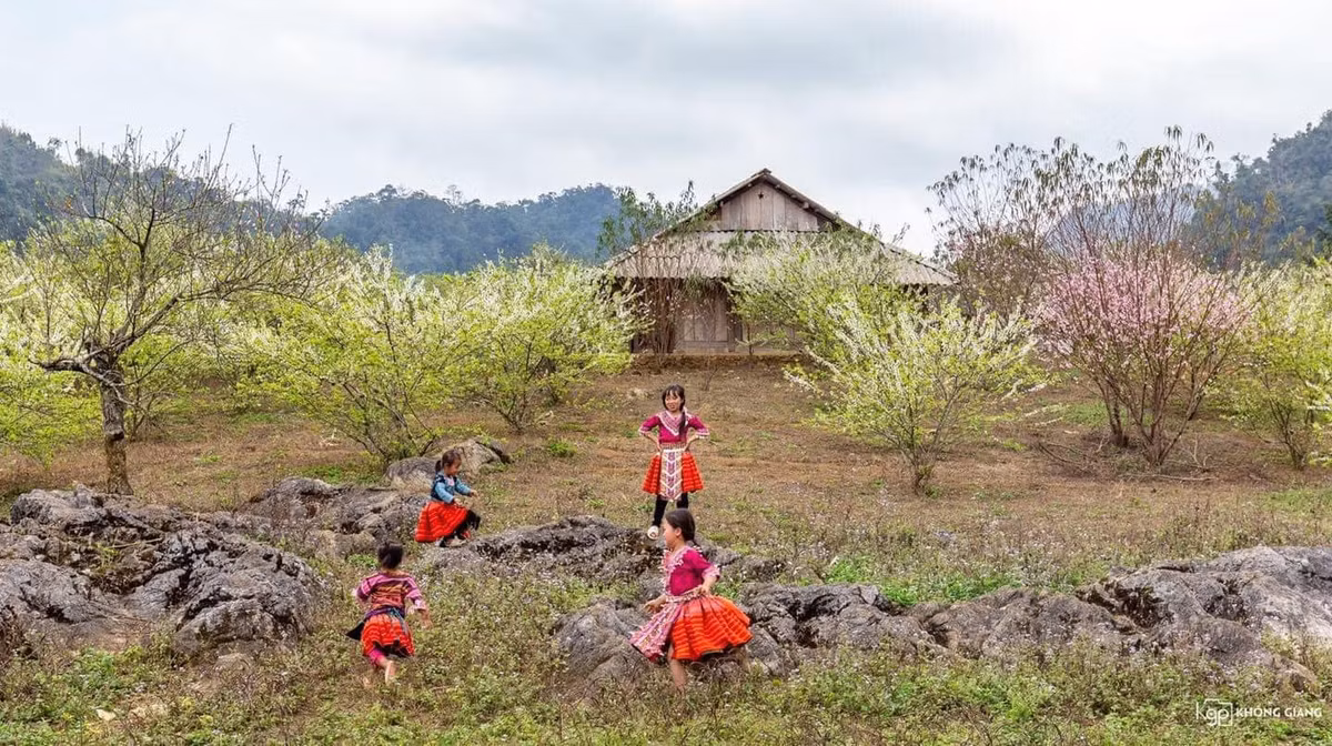 Bản Pa Phách cũng là điểm check in Mộc Châu gần như tách biệt với thế giới. Ảnh: Khổng Hoàng Giang
