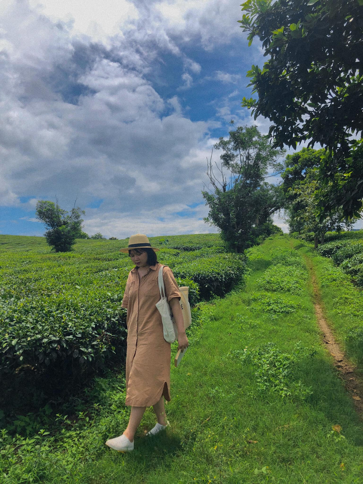 Đồi chè xanh, được tạo hình lãng mạn ở Mộc Châu đã thu hút rất nhiều khách du lịch. Ảnh: Tuong Thu Thuong