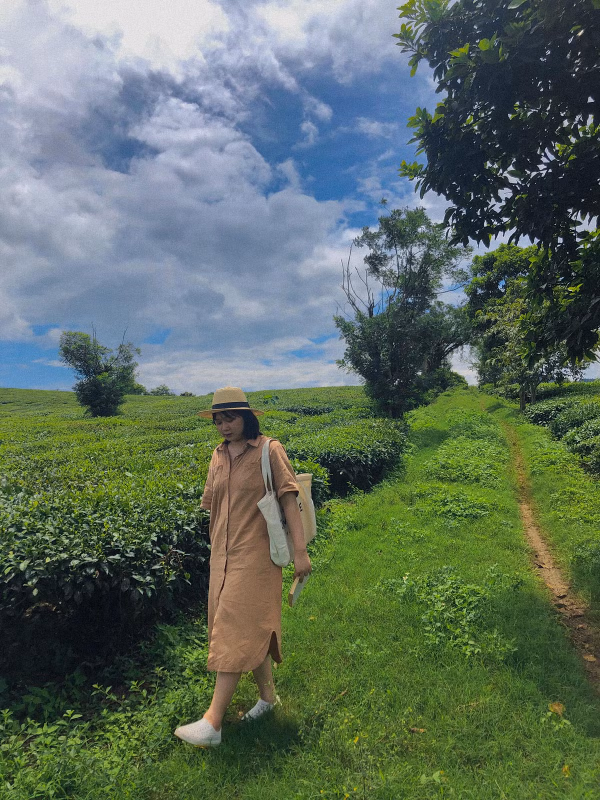 Đồi chè xanh, được tạo hình lãng mạn ở Mộc Châu đã thu hút rất nhiều khách du lịch. Ảnh: Tuong Thu Thuong