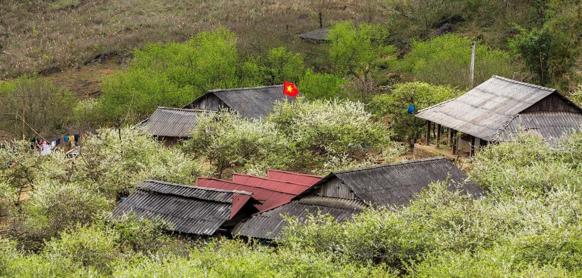 Bước đến đây du khách như bước đến vùng đất của sự hoang sơ được giữ nguyên vẹn. Ảnh: Khổng Hoàng Giang