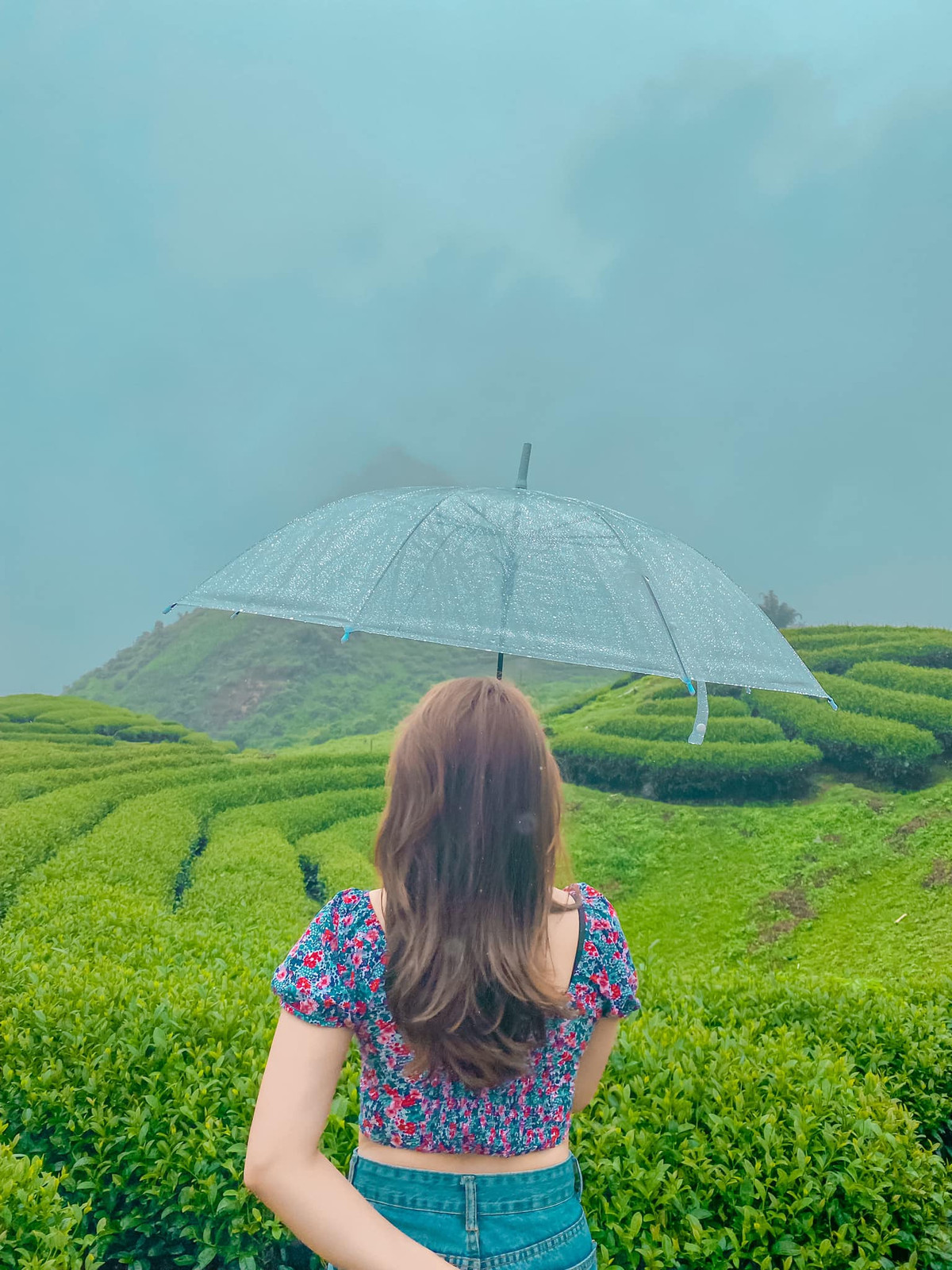 Vào thời điểm này, Mộc Châu gây ấn tượng bởi sắc xanh tươi mát và không gian phóng khoáng của những đồi chè rộng lớn. Ảnh: Oanh July