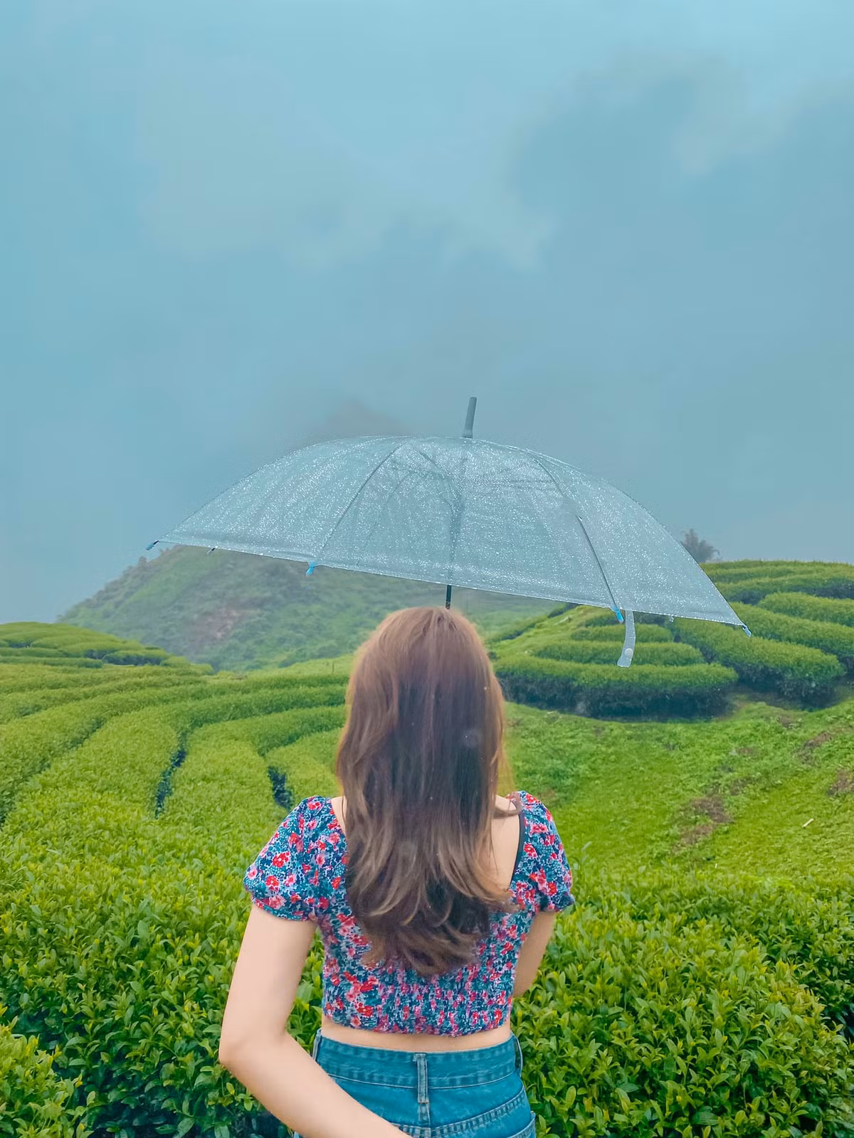 Vào thời điểm này, Mộc Châu gây ấn tượng bởi sắc xanh tươi mát và không gian phóng khoáng của những đồi chè rộng lớn. Ảnh: Oanh July