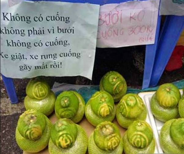 Lời quảng cáo bưởi hồ lô chế từ bài thơ về Tiểu đội xe không kính của Phạm Tiến Duật được vận dụng khéo léo. Ảnh: Tổng hợp