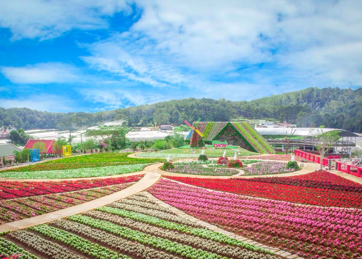 Ngoài ra ở Đà Lạt còn có vườn hoa Vạn Thành, đây cũng được xem là vườn hoa lớn nhất tại đây, nằm cách trung tâm thành phố 3km về phía Tây. Ảnh: Zoom Travel