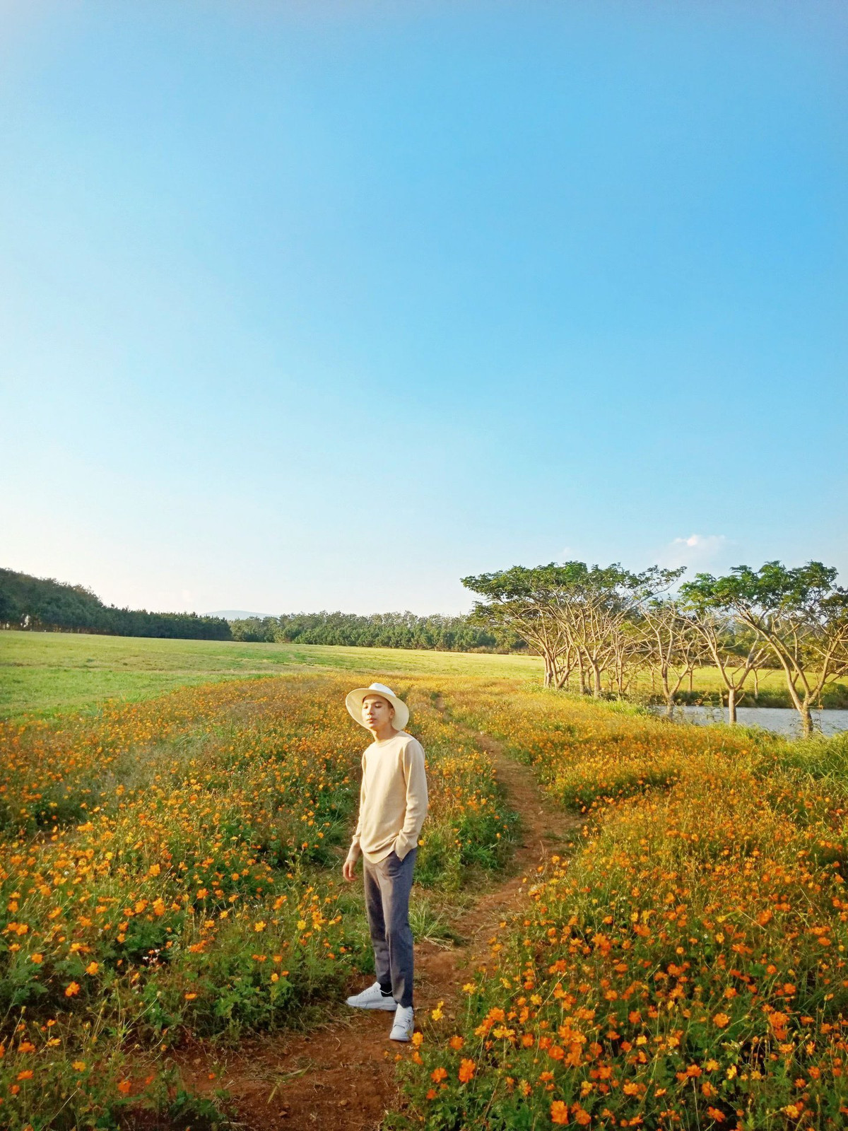 Hàng ngàn bông hoa trải dài bạt ngàn, đua nhau khoe sắc hương rực rỡ, khiến bất kỳ du khách nào cũng ngây ngất, say mê. Ảnh: Nguyen Dinh Thang