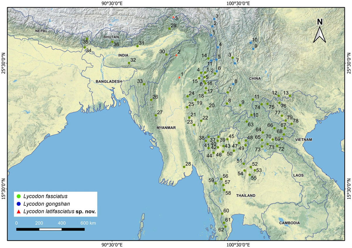 Cong bo loai ran soi moi, nha khoa hoc Viet giai ma sao?-Hinh-5