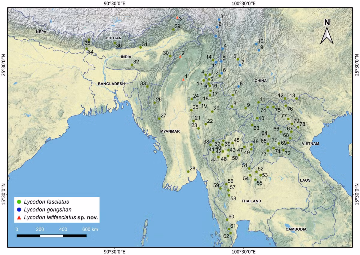 Cong bo loai ran soi moi, nha khoa hoc Viet giai ma sao?-Hinh-5