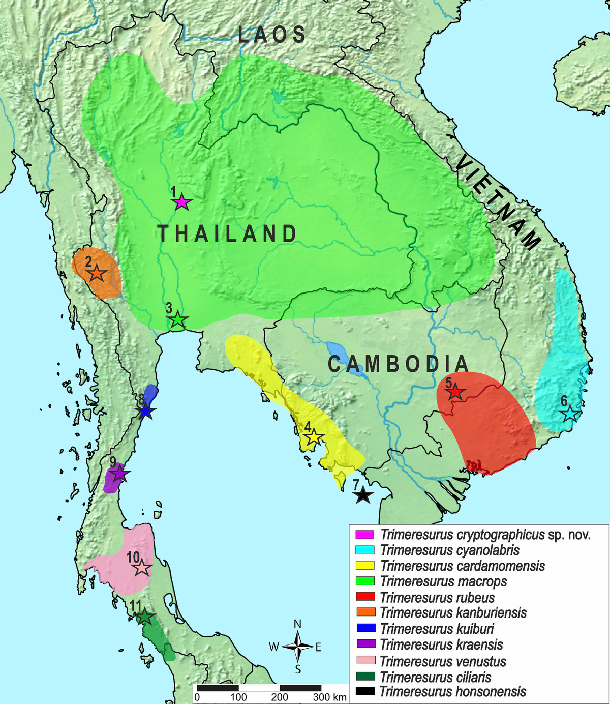 Phat hien loai ran co “ve dep chet nguoi”, chuyen gia ly giai sao?-Hinh-4