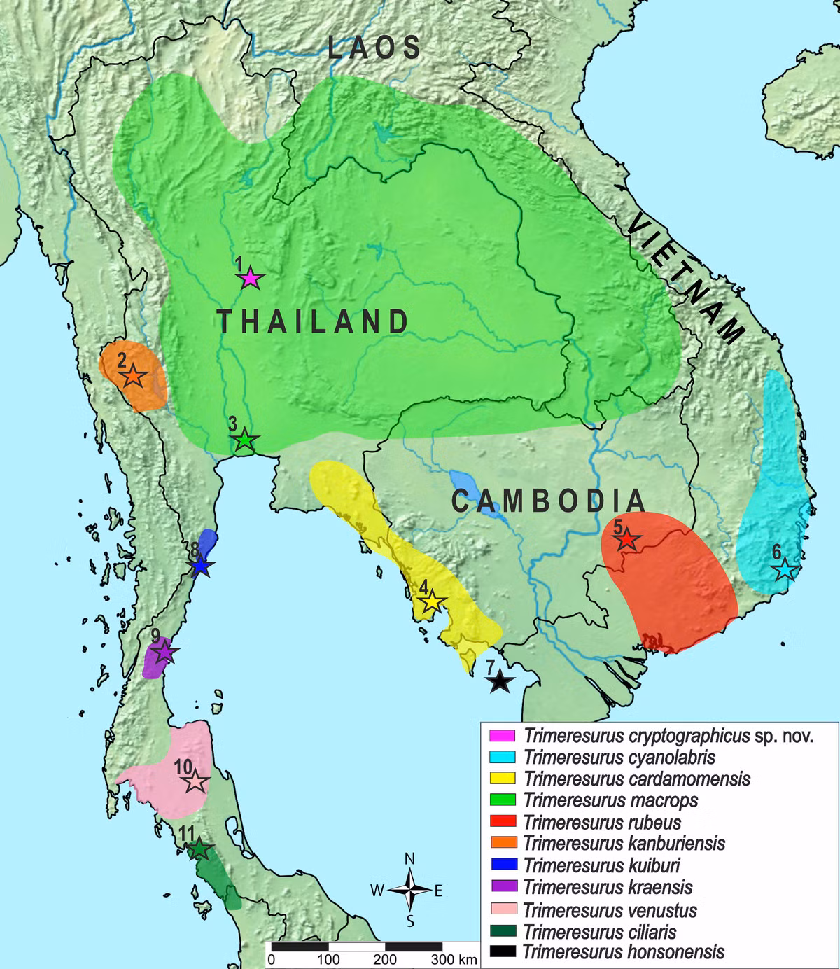 Phat hien loai ran co “ve dep chet nguoi”, chuyen gia ly giai sao?-Hinh-4