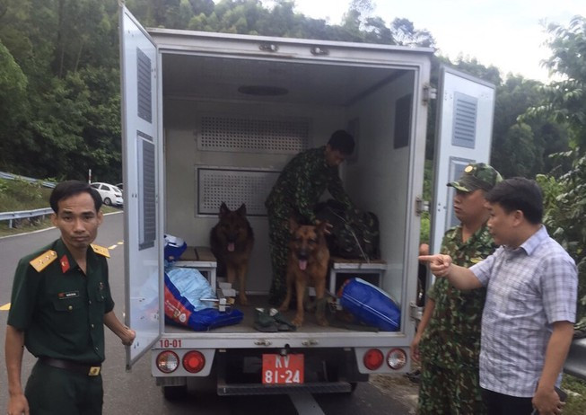 Hàng chục chó nghiệp vụ được đưa đến hiện trường, sẵn sàng làm nhiệm vụ tìm dấu vết của kẻ sát nhân vượt ngục đang lẩn trốn ở rừng Hải Vân. (Ảnh: LĐO)