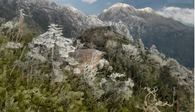 Riêng nhiệt độ khu vực núi Fansipan giảm xuống dưới 0 độ C. Tiết trời tại đây còn có mưa nhỏ. Nước mưa rơi xuống gặp lạnh đông kết lại tạo thành một lớp băng giá trắng mỏng bám vào cây cỏ, hoa trồng làm cảnh, bậc đá lên xuống trên đường đi, sàn gỗ tại khu vực dành cho du khách ngắm cảnh đỉnh Fansipan. (Ảnh: VTC) 