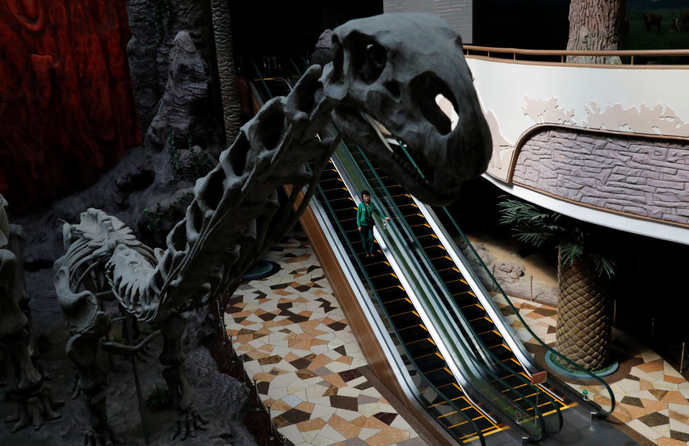 Bên trong bảo tàng được trưng bày khá nhiều mô hình và hình ảnh về các loài động vật.