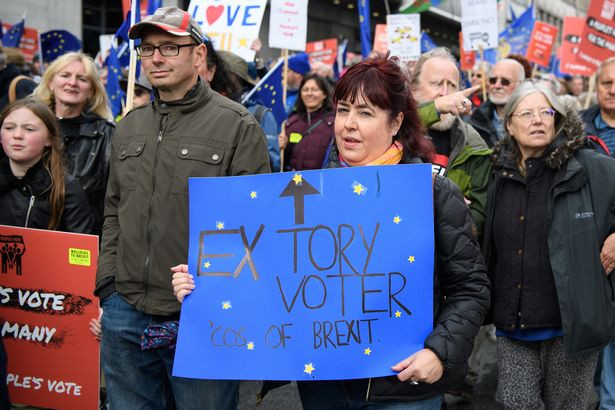 Những người tham gia cuộc tuần hành mang theo cờ Liên minh Châu Âu (EU) và những tấm biển có nội dung yêu cầu bỏ phiếu.