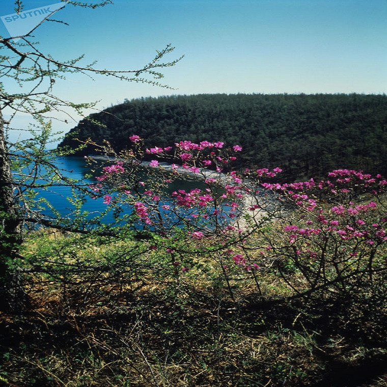 Canh sac me dam long nguoi o ho Baikal sau nhat the gioi-Hinh-10