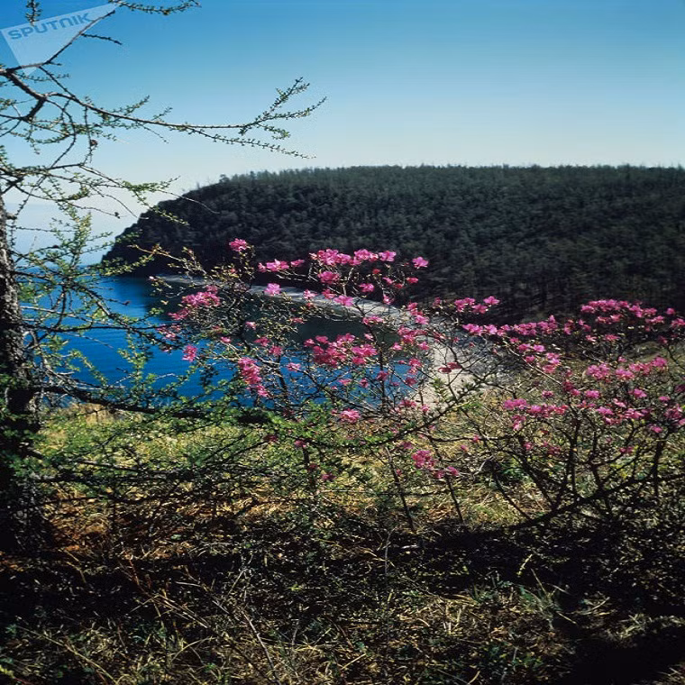 Canh sac me dam long nguoi o ho Baikal sau nhat the gioi-Hinh-10