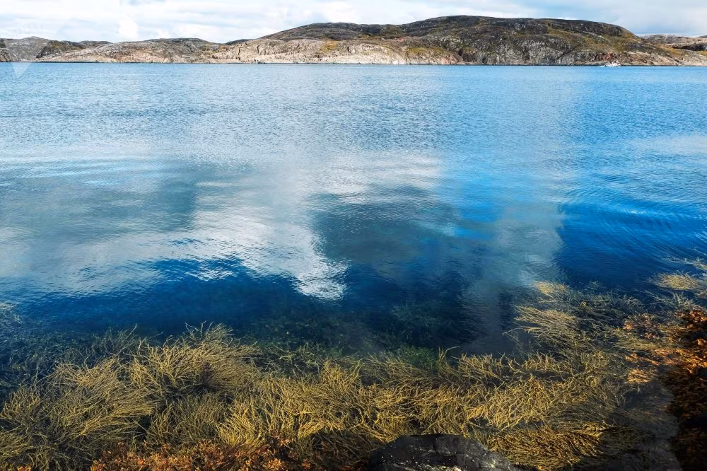 Vùng đất xinh đẹp này thu hút khá đông du khách. Được biết, đây còn là địa điểm ngắm cực quang đẹp nhất nước Nga.