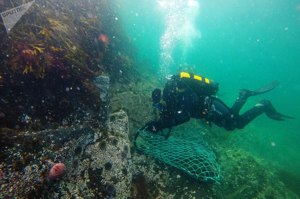 Được biết, thủ phủ của Murmansk chỉ có hơn 300.000 cư dân và những ngôi nhà ở đây khá thưa thớt.