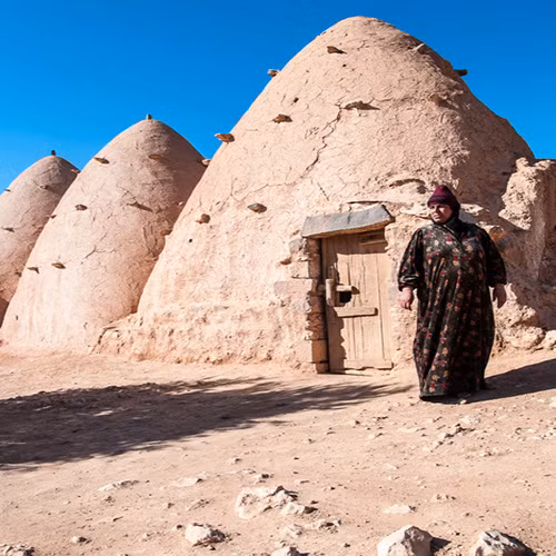 Những ngôi nhà tổ ong độc đáo được xây từ bùn đất, đá và rơm rạ đã xuất hiện từ năm 3.700 trước công nguyên ở Syria. Hiện nay, những ngôi nhà này vẫn được tìm thấy trong sa mạc và khu vực nông thôn ở tỉnh Hama và Aleppo.