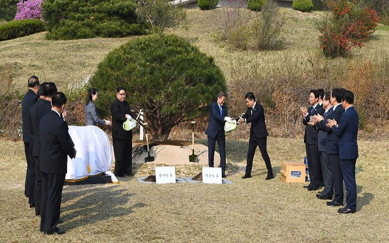 Thay gi qua hai lan Hoi nghi thuong dinh lien Trieu nam 2018?-Hinh-6