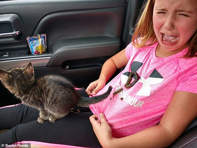 Cô bé mếu máo sau khi bị chú mèo cưng của mình ị ngay lên người. Đây có lẽ là một trong những ngày tồi tệ nhất của bé gái.