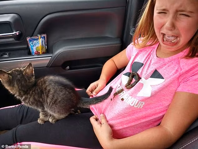 Cô bé mếu máo sau khi bị chú mèo cưng của mình ị ngay lên người. Đây có lẽ là một trong những ngày tồi tệ nhất của bé gái.