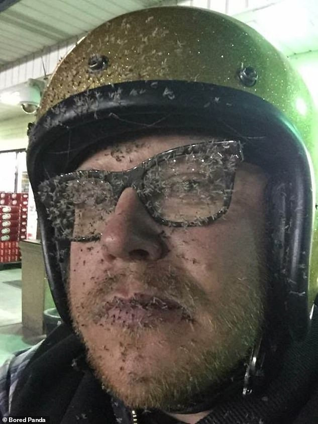 Mặt của người đàn ông đi xe máy không khác gì thỏi nam châm “hút” đầy xác muỗi.