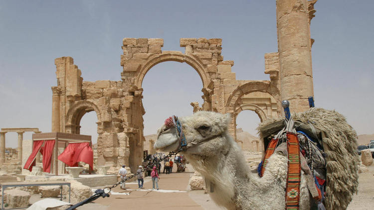 Rất đông du khách ghé thăm thị trấn cổ Palmyra vào dịp lễ hội. Ảnh: Getty.