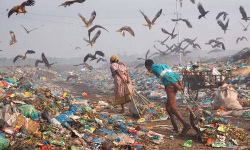 Loat anh ve moi truong khien ca nhan loai phai suy ngam-Hinh-2