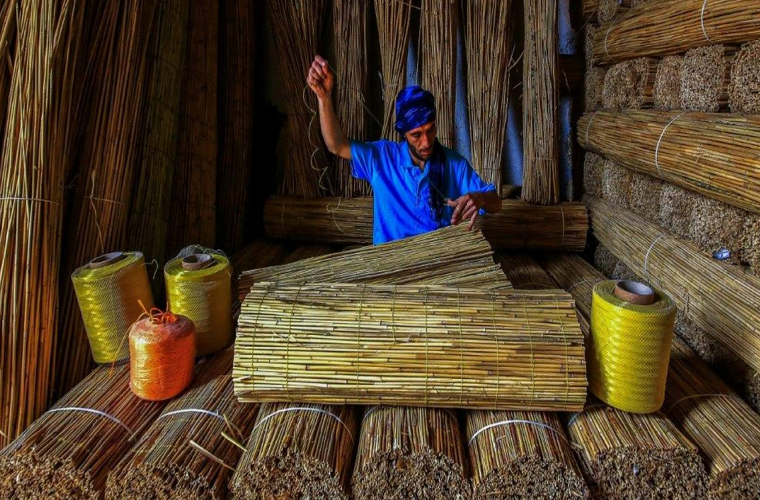 Tác phẩm Bulrush của Ümmü Kandilcioğlu được chụp tại Thổ Nhĩ Kỳ năm 2017 đoạt giành thưởng bền vững trong cuộc thi.