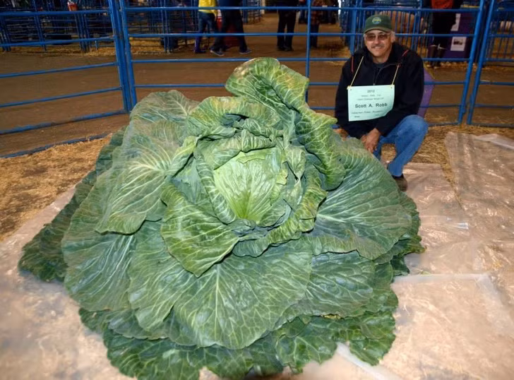 Kinh ngac 10 dieu “dien ro” chi co o nuoc My-Hinh-2