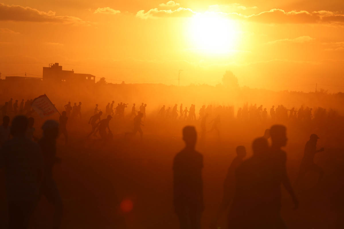 Toan canh 6 thang chim trong mau lua va bieu tinh tai Gaza-Hinh-14