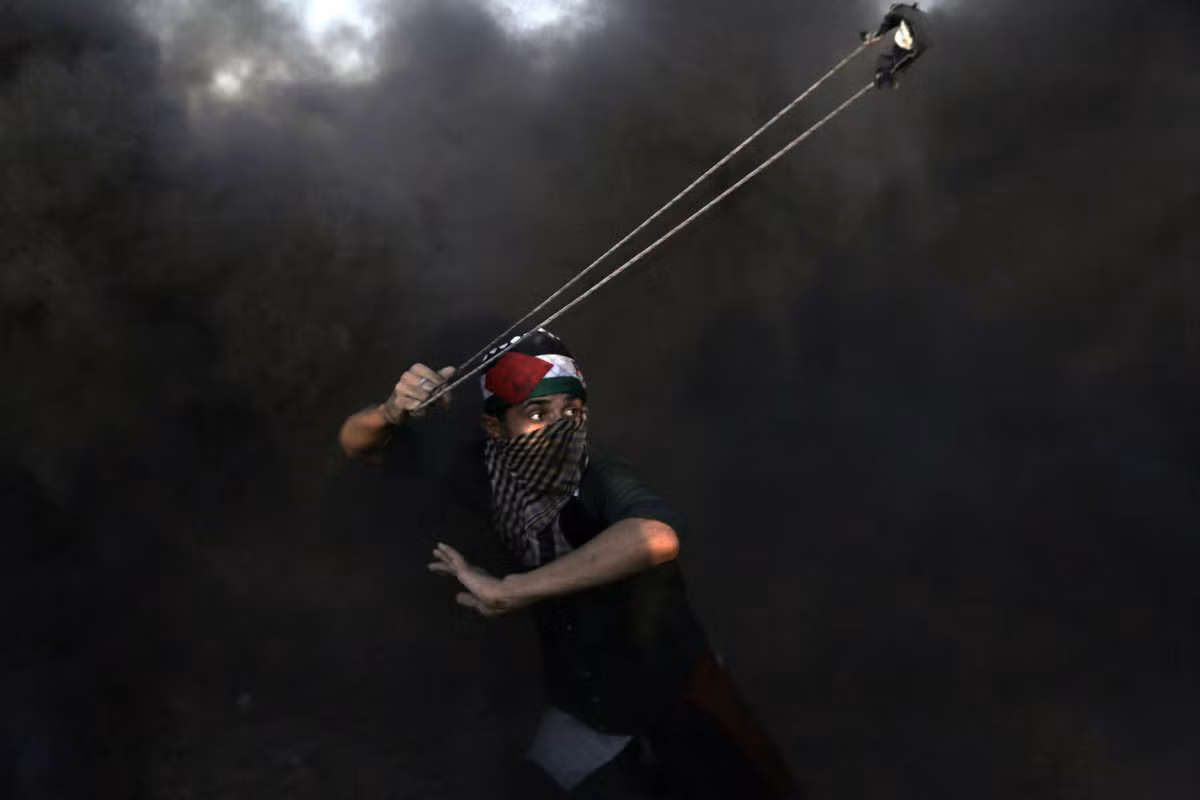 Toan canh 6 thang chim trong mau lua va bieu tinh tai Gaza-Hinh-11