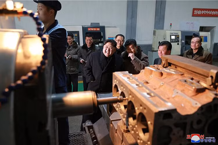 Các cơ sở này của Triều Tiên sản xuất trên cơ sở tự lực tự cường.