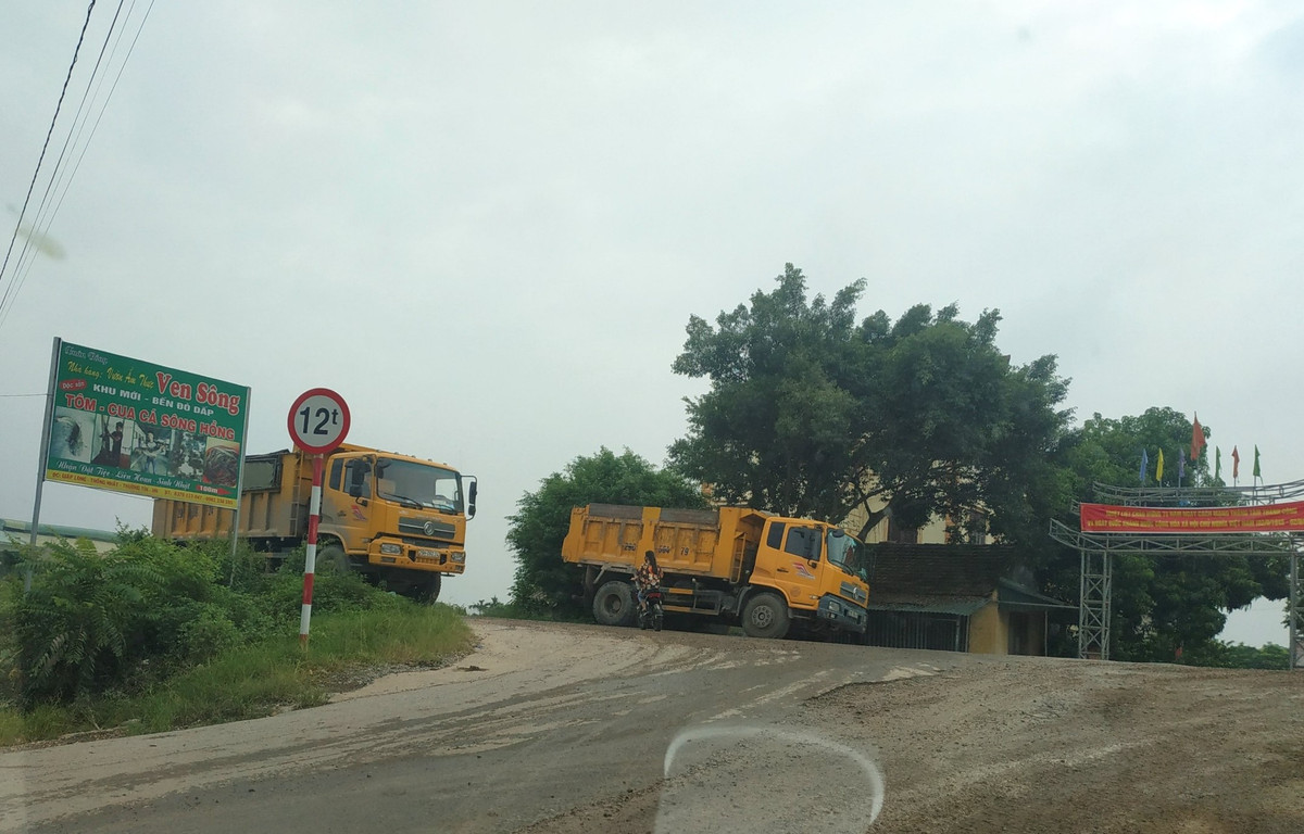 Những chiếc xe tải cỡ lớn dừng đỗ ngay bên đường