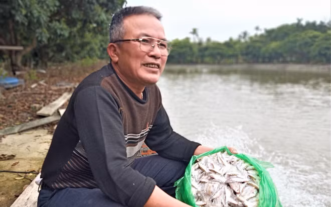 Hải Dương: Nuôi cá chình nhàn tênh, mỗi năm lãi nửa tỷ đồng Hai Duong: Nuoi ca chinh nhan tenh, moi nam lai nua ty dong