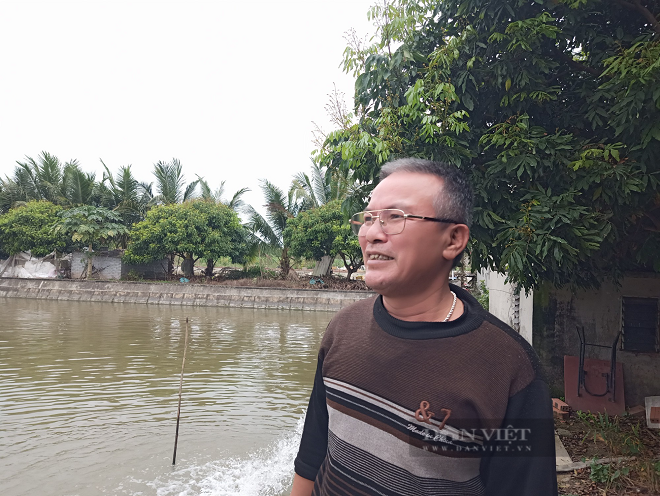 Hải Dương: Nuôi cá chình nhàn tênh, mỗi năm lãi nửa tỷ đồng - Hình 8 Hai Duong: Nuoi ca chinh nhan tenh, moi nam lai nua ty dong-Hinh-8