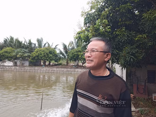 Hải Dương: Nuôi cá chình nhàn tênh, mỗi năm lãi nửa tỷ đồng - Hình 8 Hai Duong: Nuoi ca chinh nhan tenh, moi nam lai nua ty dong-Hinh-8