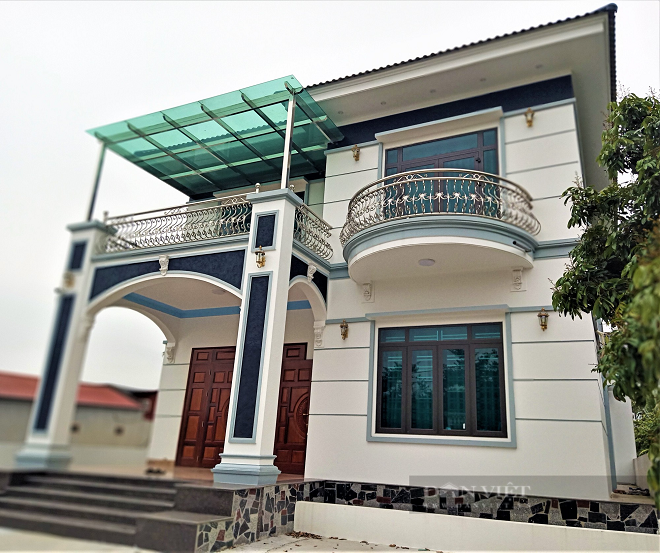 Hải Dương: Nuôi cá chình nhàn tênh, mỗi năm lãi nửa tỷ đồng - Hình 3 Hai Duong: Nuoi ca chinh nhan tenh, moi nam lai nua ty dong-Hinh-3