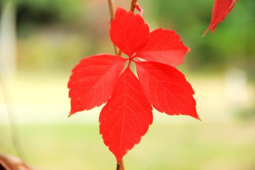 Tuổi Hợi: Công việc: Cần bình tĩnh, giải quyết từng việc, tránh nôn nóng khiến việc thêm phức tạp, tiểu nhân có cơ hội ra tay. Tài vận: Rất kém, cần chú ý giữ tiền. Tình cảm: Mâu thuẫn giữa hai người đã lên đỉnh điểm, cần giải quyết ngay. Hướng vượng tài: Xuất hành hướng Đông, kỵ hướng Tây Nam. Màu sắc vượng vận: Màu xanh da trời. Quý nhân: Tuổi Dần. (Bài viết chỉ mang tính tham khảo, cung cấp nội dung trắc nghiệm vui cho bạn đọc).