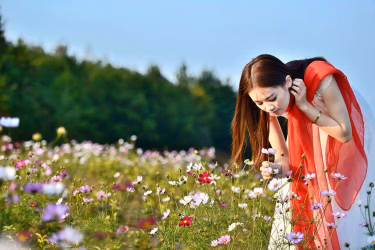 Giới doanh nhân có một tháng bội thu, có cơ hội mở rộng phạm vi và lĩnh vực kinh doanh, có thế gia tăng vốn để gia tăng lợi nhuận.