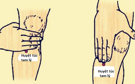 Ảnh minh họa huyệt túc tam lý.