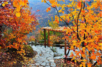 Theo dự đoán ngày mới 14/12/2017 cho 12 con giáp của tác giả Đổng Dĩnh Lâm được đăng tải trên trang Sina (Trung Quốc), công việc của tuổi Tý rất thuận lợi, mọi việc đều được giải quyết ổn thỏa, hiệu quả công việc cao. Tài vận: Được tiếp cận với nguồn vốn lớn do các tiền bối giúp đỡ. Tình cảm: Những bạn đơn thân sẽ có nhiều cơ hội kết giao mới. Hướng vượng tài: Xuất hành hướng Tây, kỵ hướng Đông. Màu sắc vượng vận: Màu trắng. Quý nhân: Tuổi Thân.