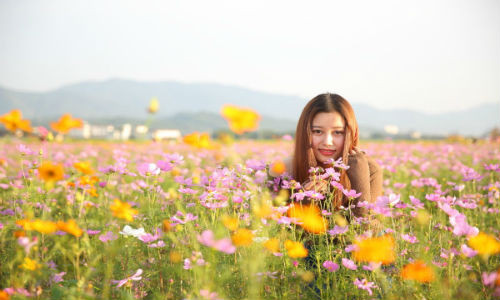 Giới doanh nhân cần bắt tay vào thực hiện ngay các kế hoạch tài chính đã xây dựng từ trước đó, có tiếp tục mở rộng và củng cố kế hoạch kinh doanh.