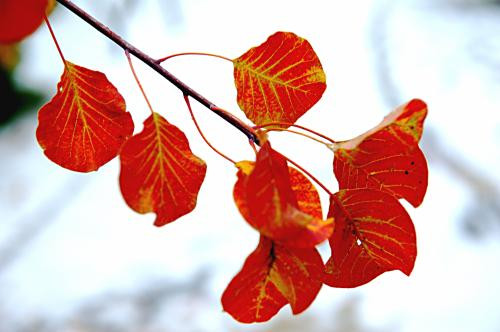 Cũng theo dự đoán ngày mới cho 12 con giáp, tuổi Sửu có cơ hội mở rộng thêm lĩnh vực mới trong công việc, cố gắng nắm bắt cơ hội này để tạo cơ sở phát triển cho công việc sau này. Tài vận: Bình thường, có cơ hội cầu tài. Tình cảm: Cần quan tâm nhiều hơn đến sức khỏe và tâm tư của đối phương. Hướng vượng tài: Xuất hành hướng Bắc, kỵ hướng Tây Nam. Màu sắc vượng vận: Màu xanh lam. Quý nhân: Tuổi Tý.