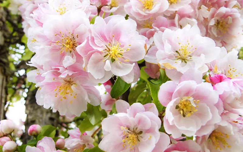 Cũng theo dự đoán ngày mới cho 12 con giáp, tuổi Sửu sẽ có cơ hội mới để phát triển sự nghiệp, có nhiều tin vui và cơ hội đến với bạn, tuy nhiên cần thận trọng trong các mối quan hệ. Tài vận: Các khoản thu nhập đều tốt, có thể đầu tư cổ phiếu. Tình cảm: Những bạn đơn thân có cơ hội gặp được người như ý, tuy nhiên đừng lãng phí thời gian ngồi nhà, nên chăm chỉ ra ngoài giao lưu gặp gỡ để tăng thêm vận thế của mình. Hướng vượng tài: Xuất hành hướng Đông Nam, kỵ hướng Tây Bắc. Màu sắc vượng vượng vận: Màu đỏ. Quý nhân: Tuổi Tỵ.