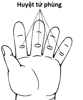 Ảnh minh họa huyệt tứ phùng.