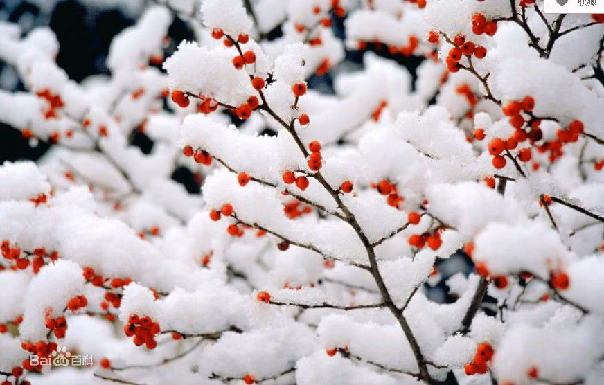 Tuổi Mão: Công việc: Có nhiều yếu tố bất ổn, con giáp này cần chuẩn bị sẵn tinh thần, tránh bị động. Tài vận: Không thích hợp đầu tư, đừng vì cái lợi trước mắt mà có thể phải trả giá đắt. Tình cảm: Những lời nói vô tâm của bạn đôi khi chính là vũ khí sát thương rất cao đối với đối phương. Hướng vượng tài: Xuất hành hướng Tây Bắc, kỵ hướng Đông Bắc. Màu sắc vượng vận: Màu xanh lam. Quý nhân: Tuổi Hợi.