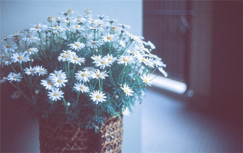 Tuổi Mùi: Công việc: Nhờ các mối quan hệ xã hội vượng phát nên mọi khó khăn luôn có người giúp đỡ, công việc thuận lợi. Tài vận: Có cơ hội đầu tư tốt do bạn bè mang đến. Tình cảm: Cần phải biết trân quý những gì mình đang có, đừng đứng núi này trông núi nọ. Hướng vượng tài: Xuất hành hướng Nam, kỵ hướng Bắc. Màu sắc vượng vận: Màu xanh lam, màu đen. Quý nhân: Tuổi Hợi.